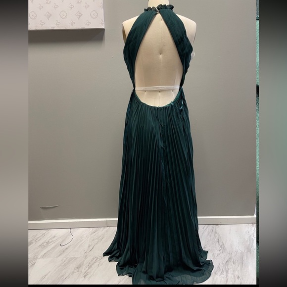 Fame and Partners Ciel Dress- mock neck pleat dress - Picture 9 of 11